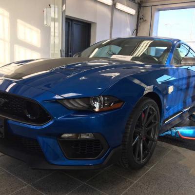Mustang